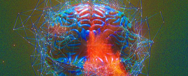 LSD lets the brain 'free itself' from divisions dictated by anatomy, scientists find