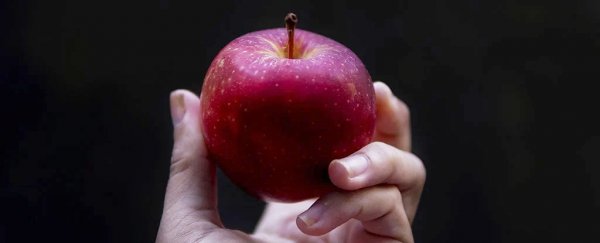 Here's what dieting actually does to your metabolism, according to scientists