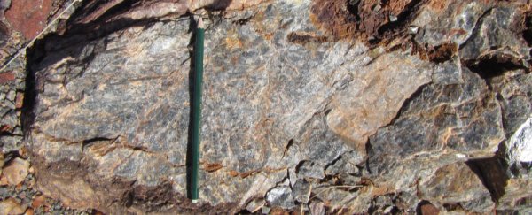 Scientists discover 'ingredients for life' in 3.5 billion-year-old rocks in Australia