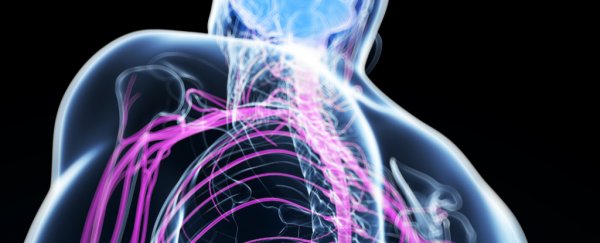 Controversial stem cell therapy has helped repair injured spinal cords in 13 patients
