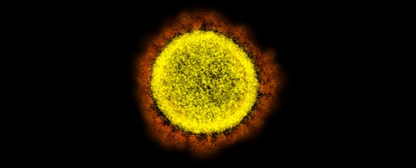 Here's how climate change may have played a role in the emergence of COVID-19
