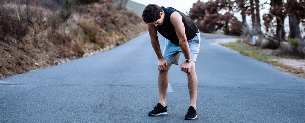 Turns out we don't know why lungs make wheezing noises. But we just got a new clue