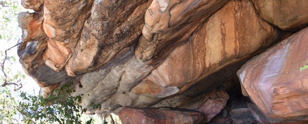 Guess which animal is in Australia's oldest rock painting, dating back 17,000 years