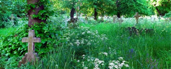 Even lifelong environmentalists have not considered green burial options