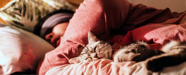 There could be a dramatic hidden impact of not having a regular bedtime, study shows
