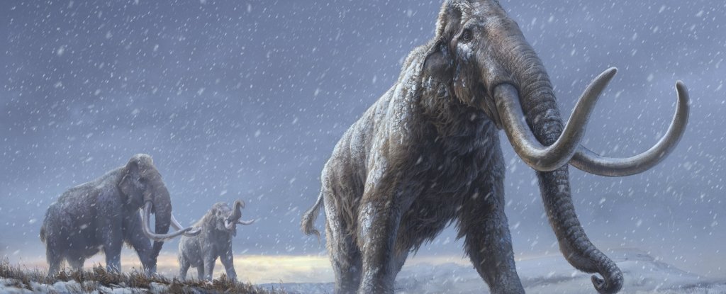 Scientists have traced mammoth DNA more than a million years old