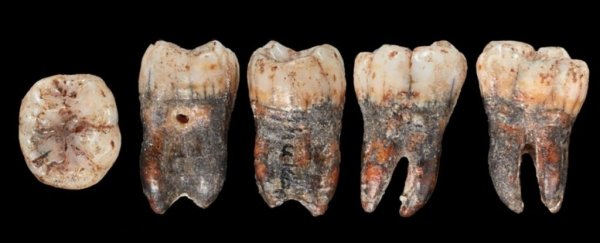 Long-lost Neanderthal tooth reveals a surprising unknown link to modern humans