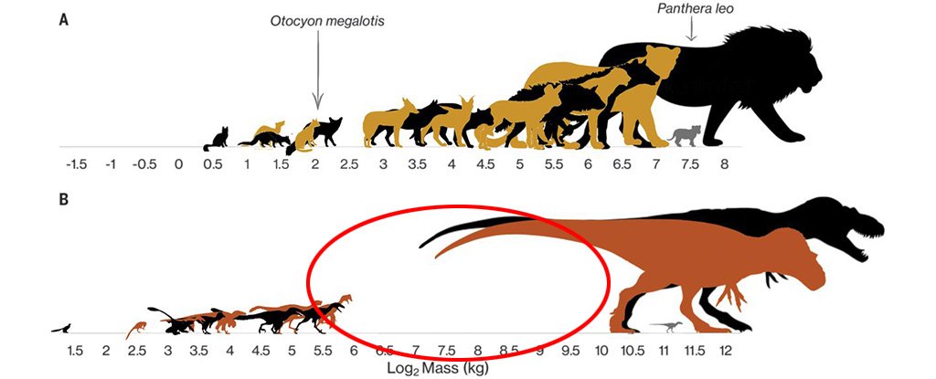 The dinosaur gap versus modern carnivorous mammals. 