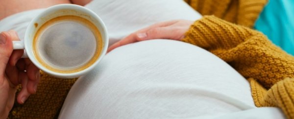 What are the limits on caffeine during pregnancy? It depends which scientists you ask