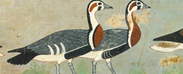 Gorgeous Egyptian art from 4,600 years ago reveals an extinct goose