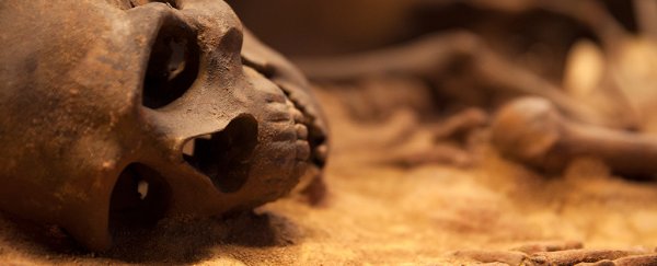 Thousands of human skeletons show us the evolutionary war between man and disease