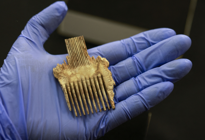 A lice comb from the Bar Kochba Jewish revolt period, Israel, 16 March, 2021. (Menahem Kahana/AFP/Getty Images)