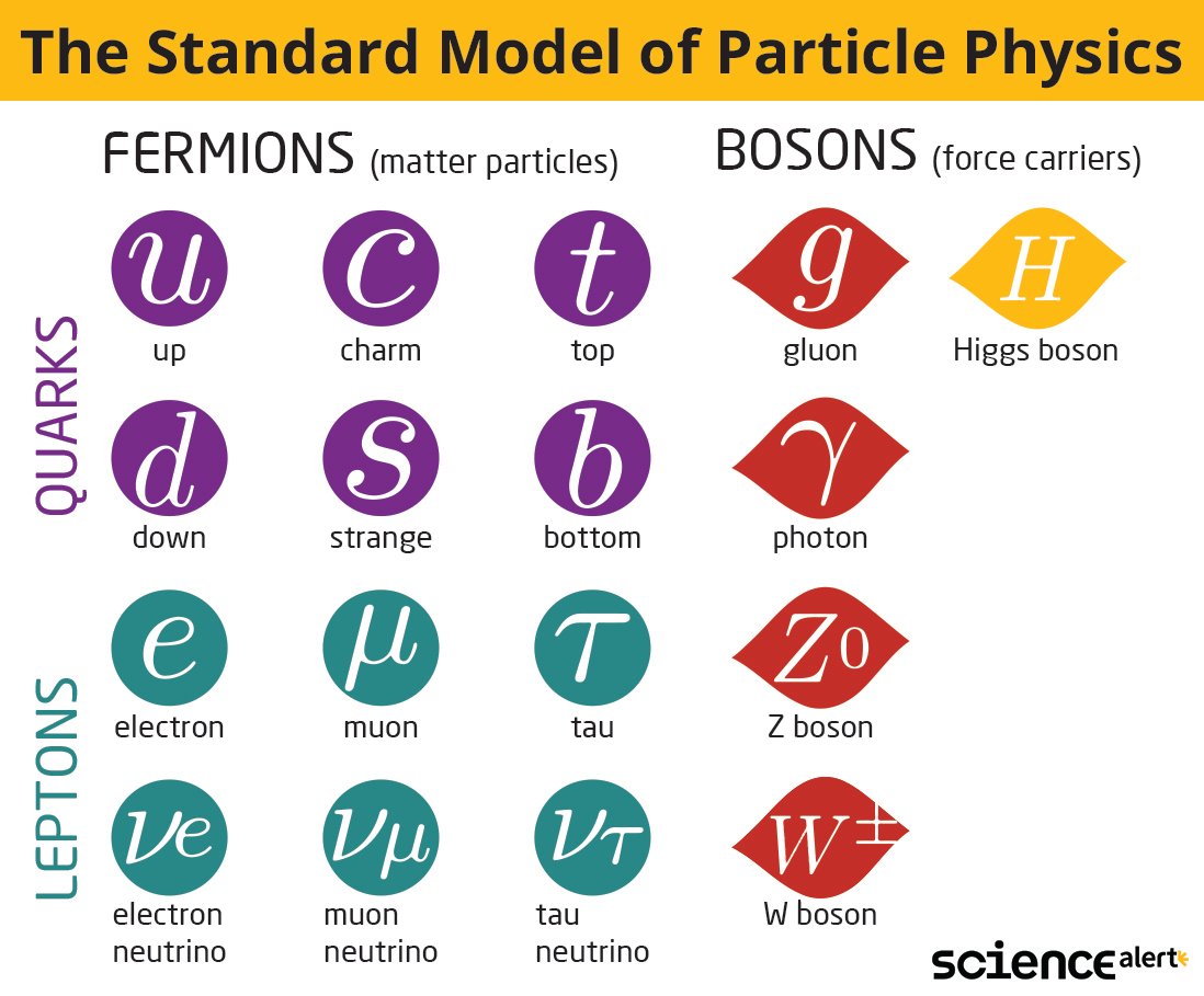 Physicists Just Found 4 New Subatomic Particles That May Test The Laws of Nature  StandardModelParticlePhysicsLogo21