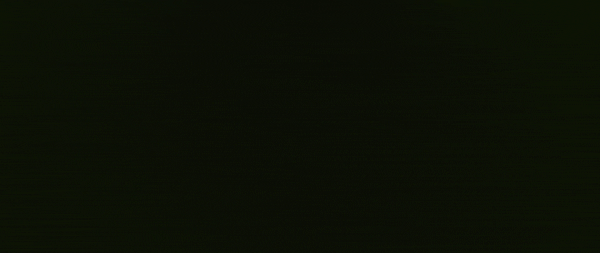 Biofluorescent fish have finally been spotted in Arctic waters, and they're a little unusual