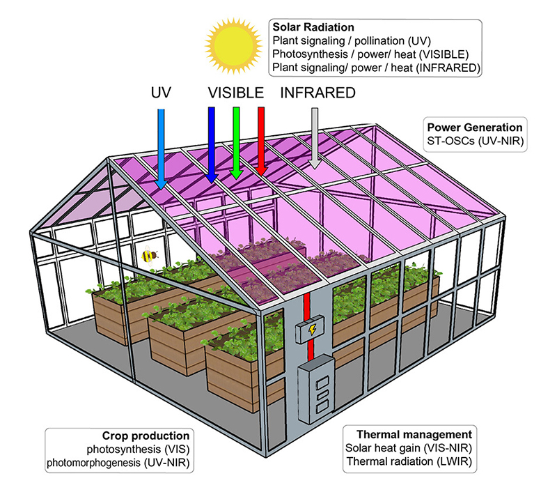 greenhouse diagram