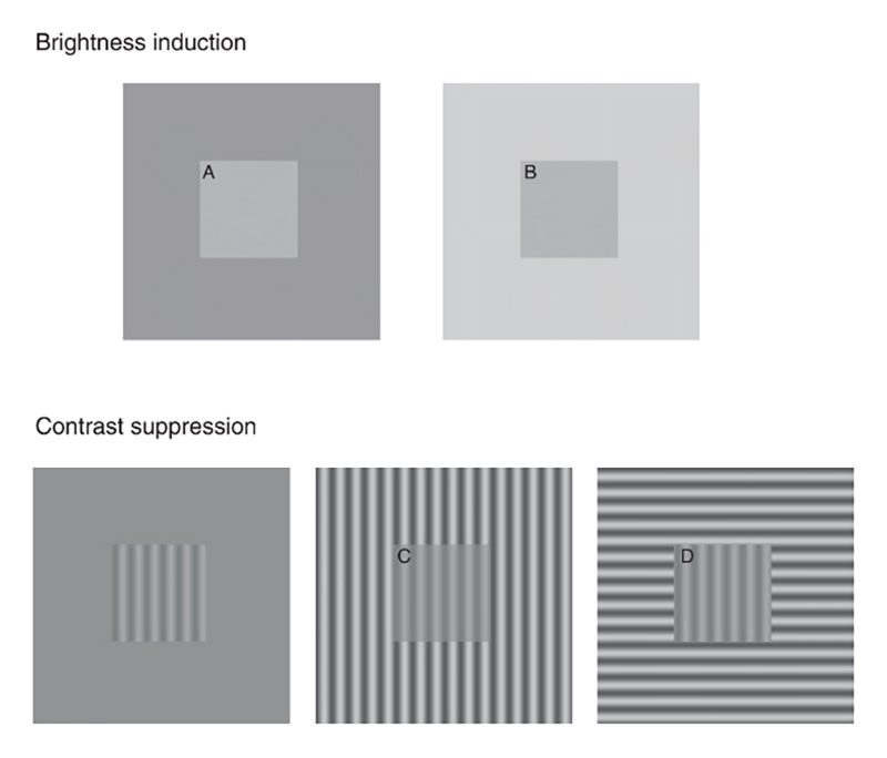 optical test