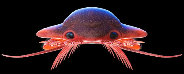 An underwater revolution millions of years ago rewrote the script of the ocean