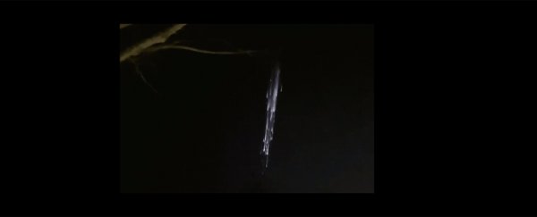 SpaceX debris creates spectacular lightshow over the US Pacific Northwest