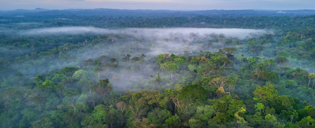 Scientists warn that Amazon could make climate change even worse
