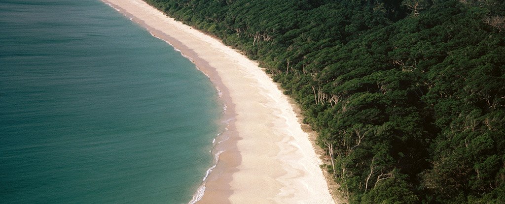 A beach in the Andaman Islands. 