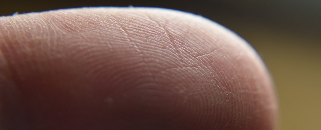 The sensitivity of human fingertips is greater than we ever imagined