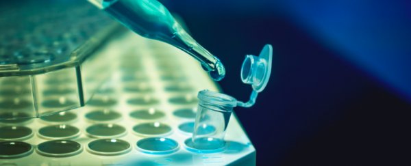 Experimental CRISPR treatment cuts cholesterol in mice by up to 57% in a single shot
