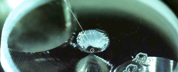 For the first time, organic matter crucial for life has been found on an asteroid's surface