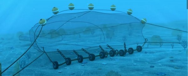 Bottom trawling in the ocean is running the tap on earth's largest carbon sink