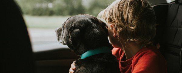 Heart problems in pets could be linked to COVID variant. Here's what you must know