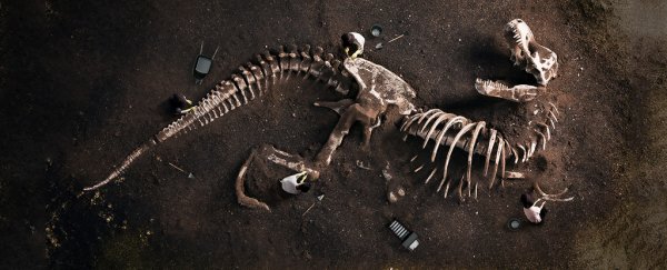The trouble with dinosaur bones