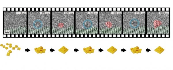 Scientists thrilled to observe the first milliseconds of gold crystal formation