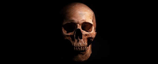 Did Humans Once Wipe Out Neanderthals? Here's What We Know