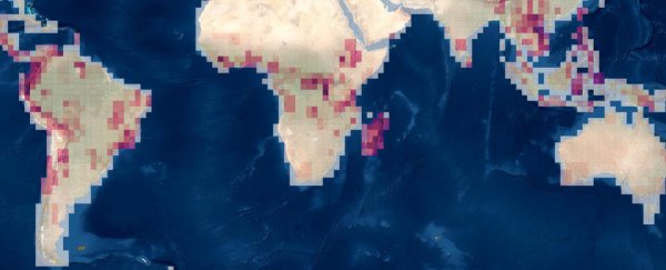 New 'map of life' reveals where unknown animals may still live on Earth