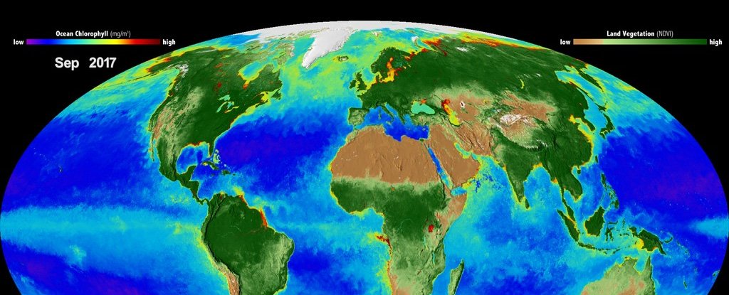 A visualization of Earth's biosphere. 