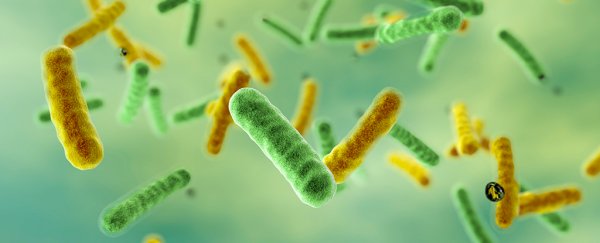 Bacteria could be the first organisms found to use quantum effects to survive