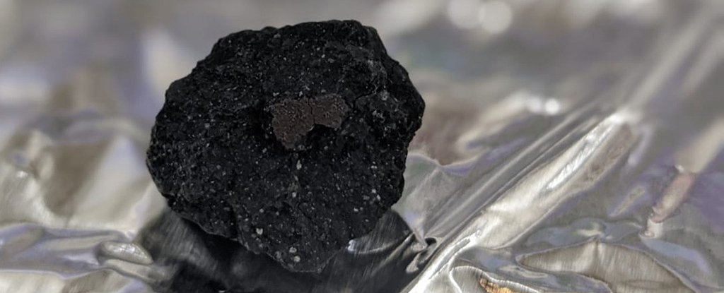 A chunk of the meteorite that has been recovered from Winchcombe 
