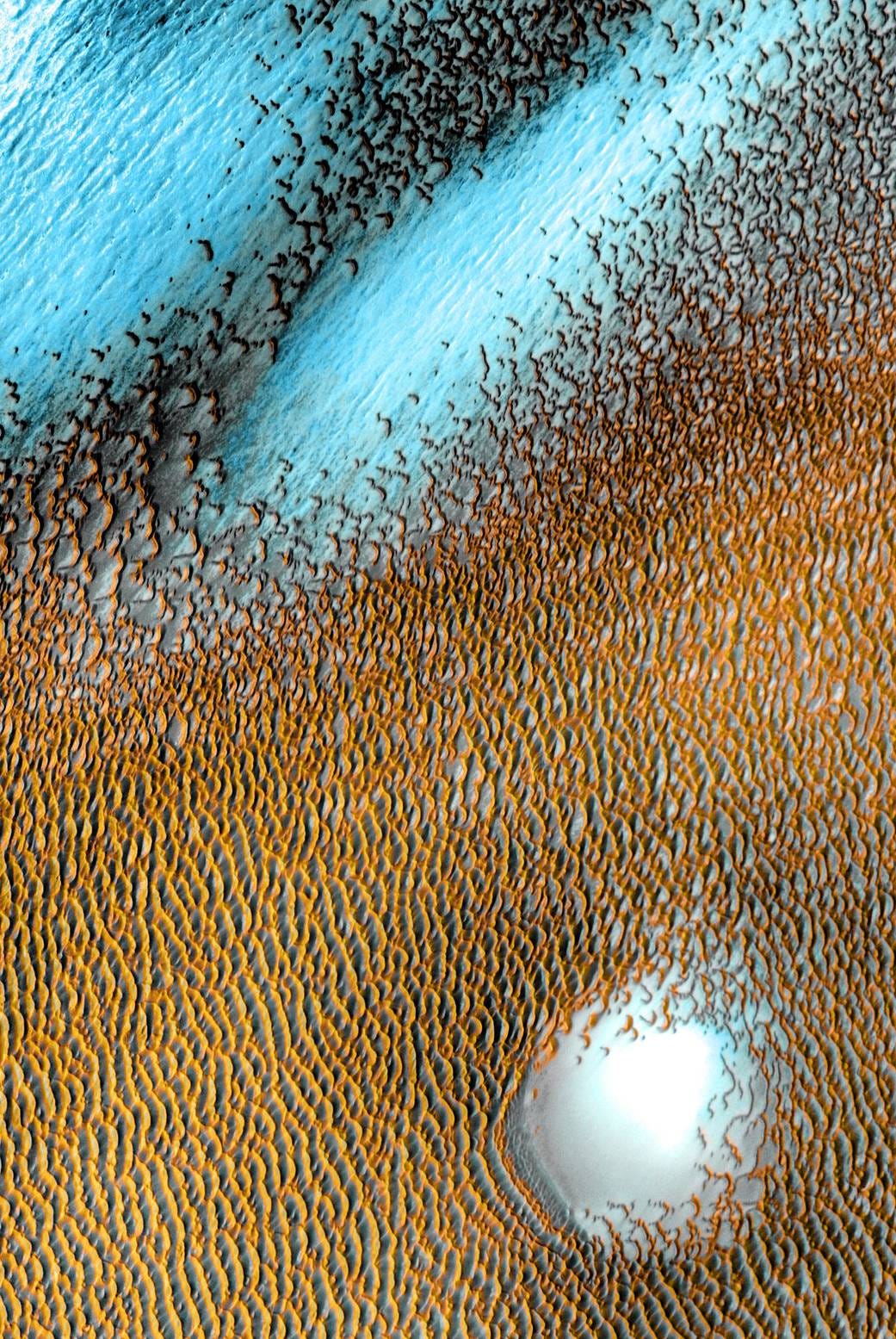 Sea of dark dunes surrounds Mars' northern polar cap.(NASA/JPL-Caltech/ASU)