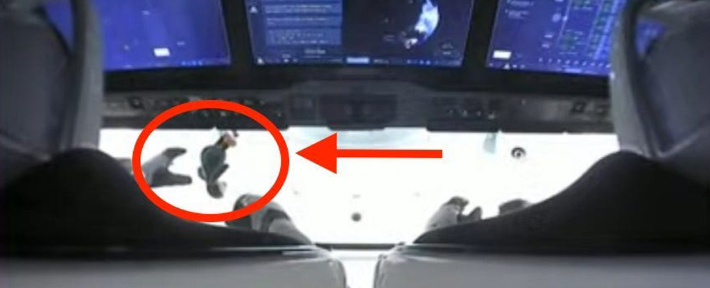 The stuffed penguin toy Guin Guin floating in zero gravity aboard the SpaceX Dragon capsule