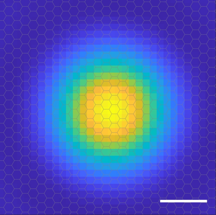 https://www.sciencealert.com/images/2021-04/exciton-probability.jpg