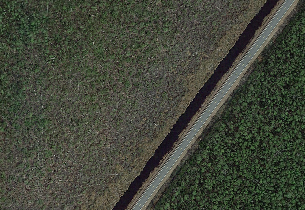 google earth ghost forest with road