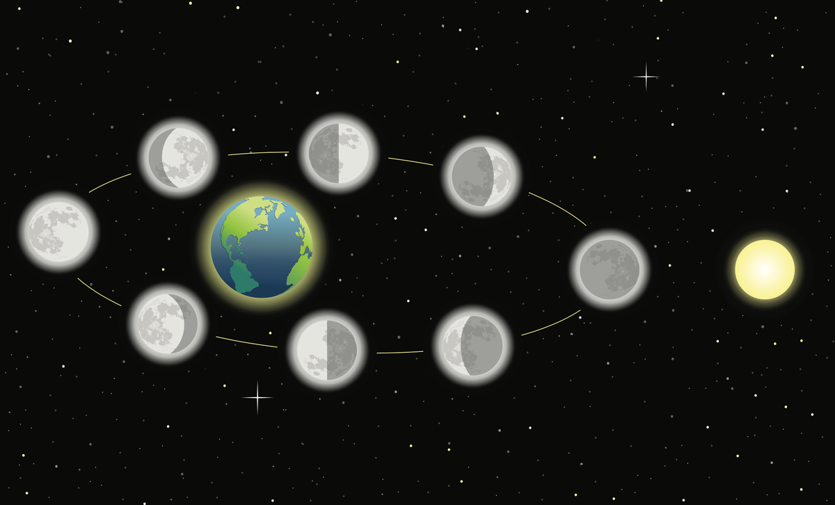 Phases of the moon. (Shutterstock/Redsapphire)