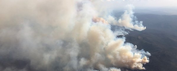Australia's 'black summer' fires have left a shocking effect on Earth's atmosphere