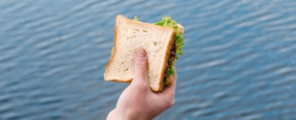 Feeling hungry all the time? Scientists have a new explanation for what's going on