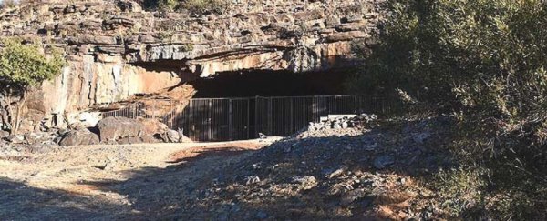Scientists find oldest evidence of ancient human activity deep inside a desert cave