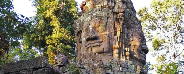 Humans shaped life on Earth for 12,000 years, and it wasn't all doom and destruction