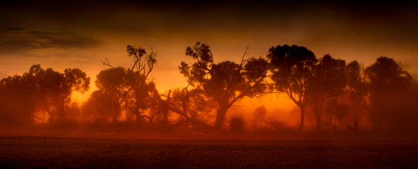 Disastrous climate tipping points could be reversed - if we act fast, scientists warn