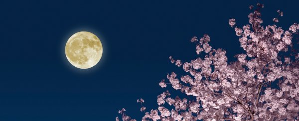 April's full moon is 2021's first supermoon! Here's when to look for it