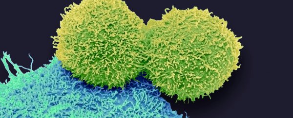 Two major studies have connected one key hormone to breast cancer
