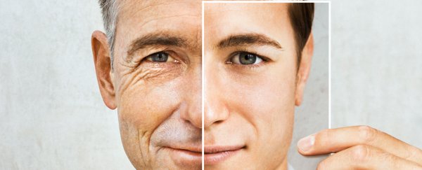 Scientists think we can 'delay' the aging process, but how far can we actually go?