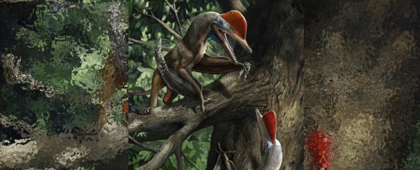 This Flying 'Monkeydactyl' is the only known pterosaur with opposed thumbs